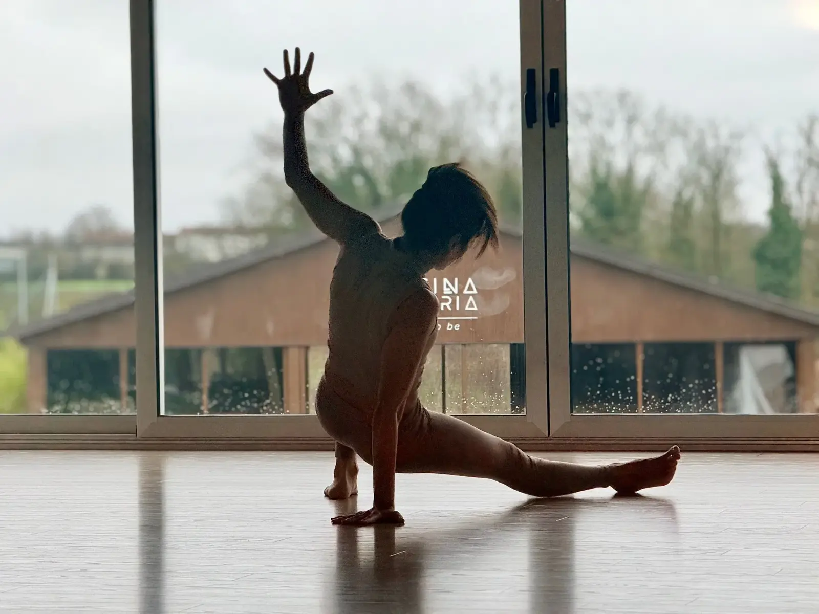 YogAnimal Motion