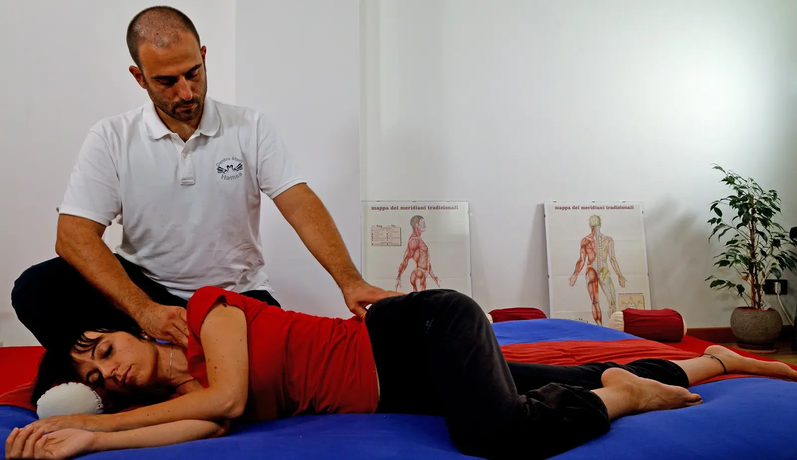 Yin & Shiatsu – Inhabiting the Pelvis